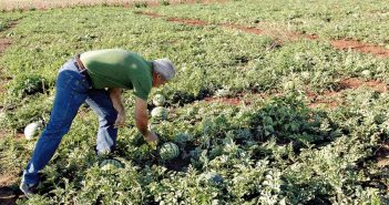 Πώς θα δηλώνονται οι εργαζόμενοι στον αγροτικό τομέα.